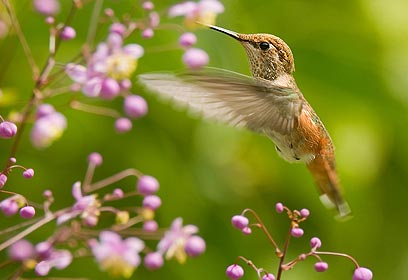 צילום: רועי גליץ צילום: רועי גליץ