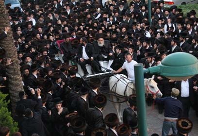 צילום: משה גולדשטיין