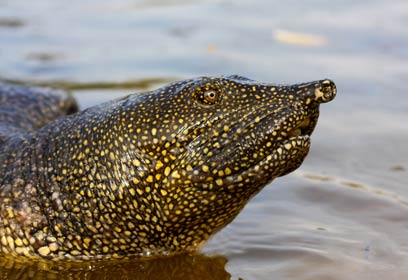 צילום: גיא חיימוביץ'