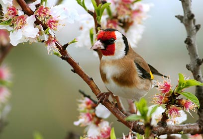 צילום: מאור קינסבורסקי