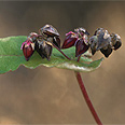 צילום: Gettyimages Imagebank