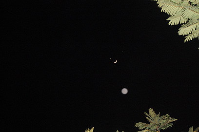 נוגה בהתקבצות עם הירח וצדק  (צילום: ירדן דור) (צילום: ירדן דור)