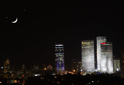 צילום: רון פלד צילום: רון פלד
