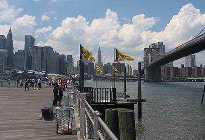 הגשרים של ניו יורק - על הכוונת של חיזבאללה? (צילום: ענת לב אדלר) (צילום: ענת לב אדלר)