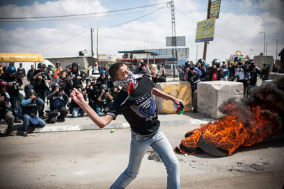 קלנדיה בוערת (צילום: נועם מושקוביץ )