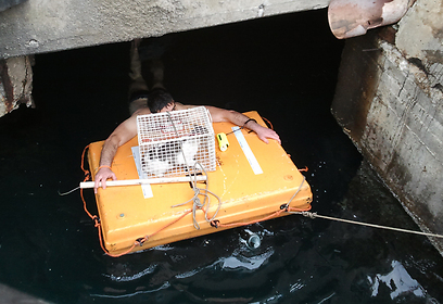 צילום: אריק דהן