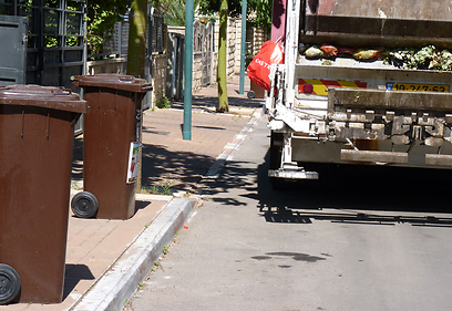 איסוף פסולת אורגנית בשהם (צילום: גלעד אוסטרובסקי) (צילום: גלעד אוסטרובסקי)
