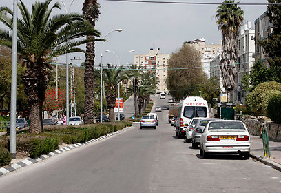 הקרבה לכביש חוצה ישראל מקצרת את הנסיעה (צילום: אליעד לוי) (צילום: אליעד לוי)