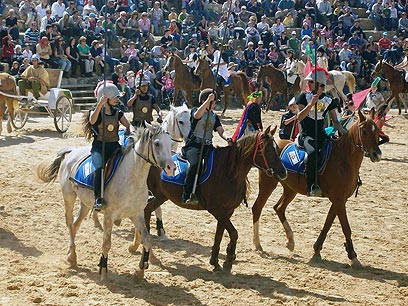 מופע סוסים בקיסריה (צילום: רינת רוסו) (צילום: רינת רוסו)