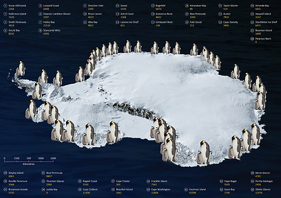  (צילום: British Antarctic Survey) (צילום: British Antarctic Survey)