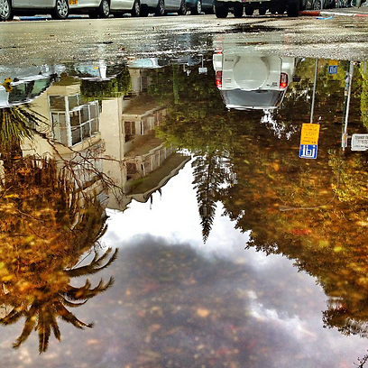 צילום: גיא פריבס צילום: גיא פריבס