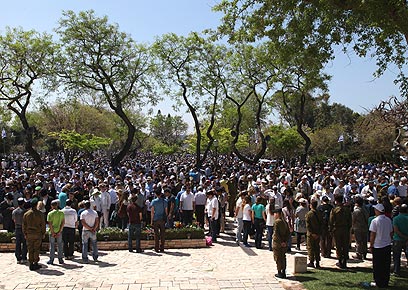 צילום: אבישג שאר-ישוב צילום: אבישג שאר-ישוב