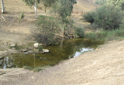 צילום: אתר פאנט צילום: אתר פאנט