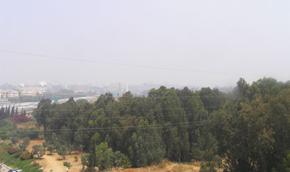 אוויר מזוהם בצפון רמת גן (צילום: יואב זיו) (צילום: יואב זיו)