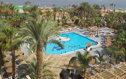 צילום: זיו ריינשטיין צילום: זיו ריינשטיין