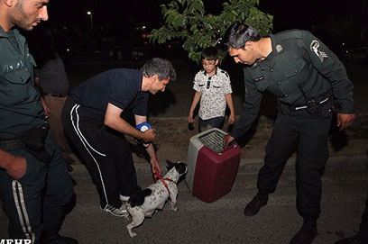 שוטרים לוקחים את הכלב של הילד              ()