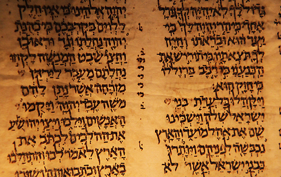 האם הדפים החסריםיימצאו  (צילום: איריס פשדצקי באדיבות מוזיאון ישראל) (צילום: איריס פשדצקי באדיבות מוזיאון ישראל)