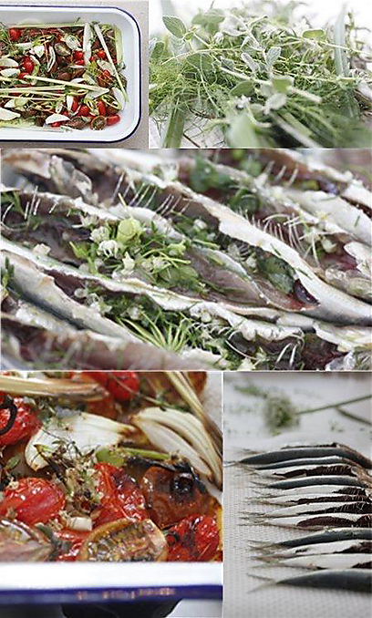 דגים עם בטן מלאה עשבי תיבול (צילום: מיכל וקסמן) (צילום: מיכל וקסמן)
