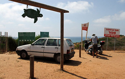 הכניסה לחוף (צילום: עופר עמרם) (צילום: עופר עמרם)