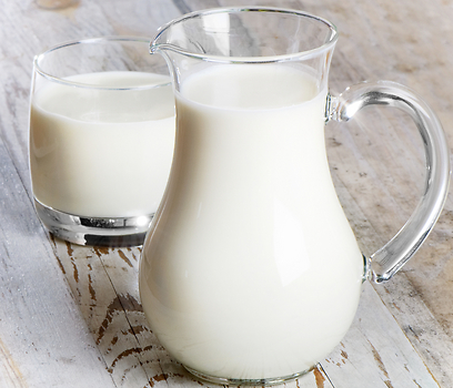 עדיף לשתות חלב רגיל וליהנות מהוויטמינים (צילום: shutterstock) (צילום: shutterstock)