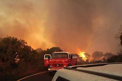 כבאית "עמק 9" במהלך השריפה (צילום: אלי יבלינוביץ) (צילום: אלי יבלינוביץ)