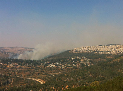 השריפה ליד מעלה החמישה (צילום: דניאלה כהן) (צילום: דניאלה כהן)