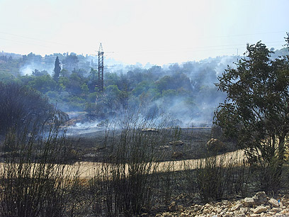 נזקי השריפה באזור מוצא (צילום: נעם דביר) (צילום: נעם דביר)