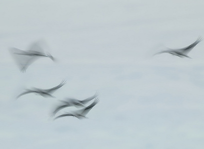 צילום: אמיר איילון צילום: אמיר איילון