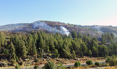 אזור השריפה בירושלים, היום (צילום: נעם (דבול) דביר) (צילום: נעם (דבול) דביר)