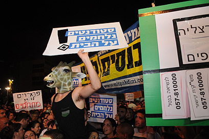 "סטודנטים נלחמים על הבית", הערב בתל אביב (צילום: ירון ברנר) (צילום: ירון ברנר)