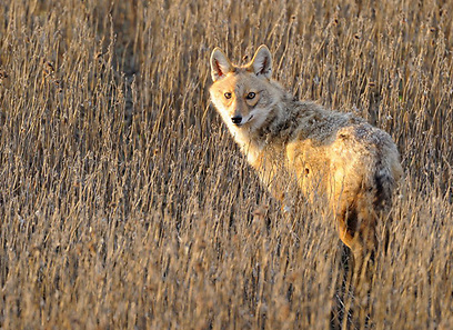 צילום: אפי פירסט צילום: אפי פירסט