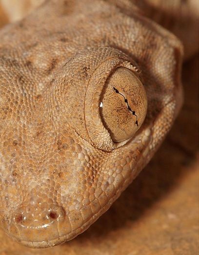 צילום: עמיר וינשטיין צילום: עמיר וינשטיין