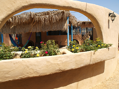 צילום: טל גליק