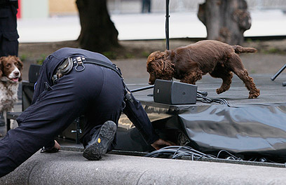 גם כלבי גישוש הובאו לאזור הטקס בבירה (צילום: AP) (צילום: AP)