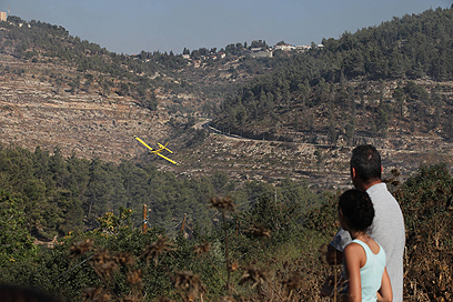 מבט על מטוסי הכיבוי באזור ירושלים (צילום: גיל יוחנן) (צילום: גיל יוחנן)