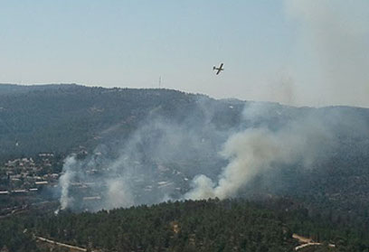 המטוסים הופנו לאזור קריית טבעון. השריפה באבן ספיר (צילום: אריאל קרפל) (צילום: אריאל קרפל)