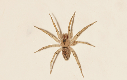 צילום: עמיר וינשטיין צילום: עמיר וינשטיין