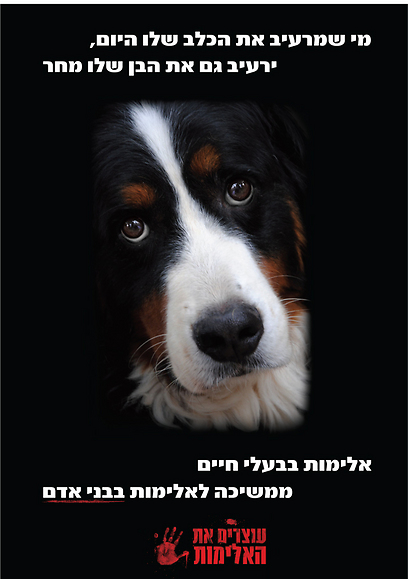 צילום: עוצרים את האלימות