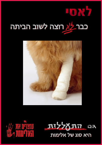 צילום: עוצרים את האלימות