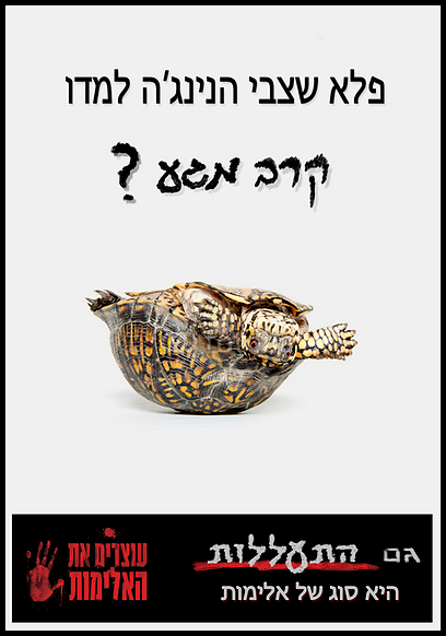 צילום: עוצרים את האלימות