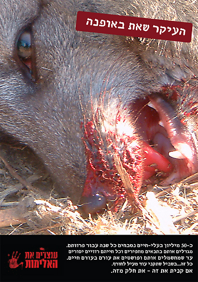 צילום: עוצרים את האלימות