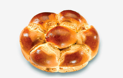 פילסברי (צילום: ישראל כהן) (צילום: ישראל כהן)