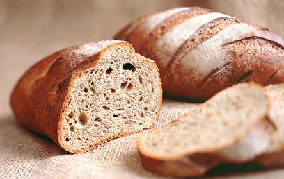 לחם מקמח מלא. מאיזו חיטה מייצרים אותו? (צילום: shutterstock  ) (צילום: shutterstock  )