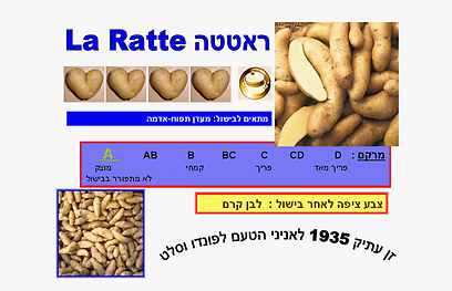 "תפוחי אדמה בעלי טעם שמימי: לייצוא בלבד כי בישראל מעדיפים תפוחי אדמה יפים וחסרי טעם" (באדיבות ד"ר אבי נחמיאס) ()
