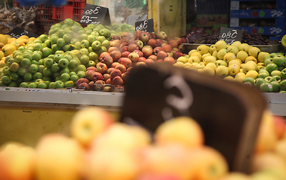 תפוחים פוטנציאליים בדבש (צילום: אבישג שאר-ישוב) (צילום: אבישג שאר-ישוב)