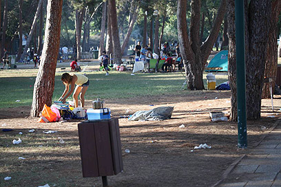 המנגליסטים במרכז אספו אשפה בפארק הירקון  (צילום: מוטי קמחי) (צילום: מוטי קמחי)