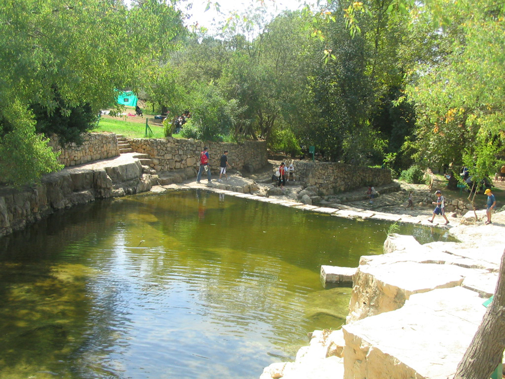 גן לאומי עין חמד (צילום: אייל מטרני) (צילום: אייל מטרני)