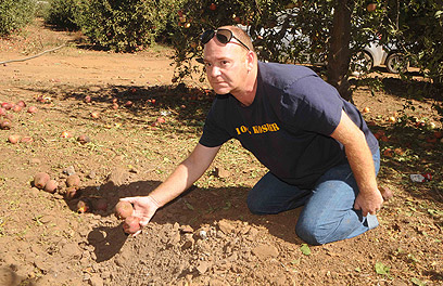 מקום נפילת אחת הפצצות, היום בגולן (צילום: אביהו שפירא)