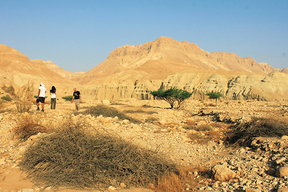 צילום: מיכל סימוני-בלנק צילום: מיכל סימוני-בלנק