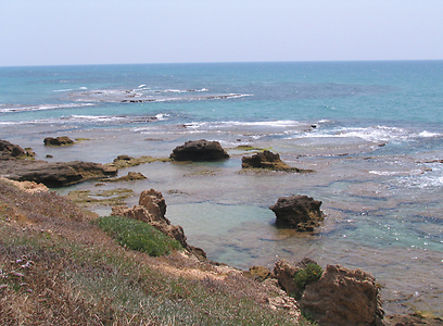 חוף בית ינאי (צילום: ליטל עוזרי) (צילום: ליטל עוזרי)